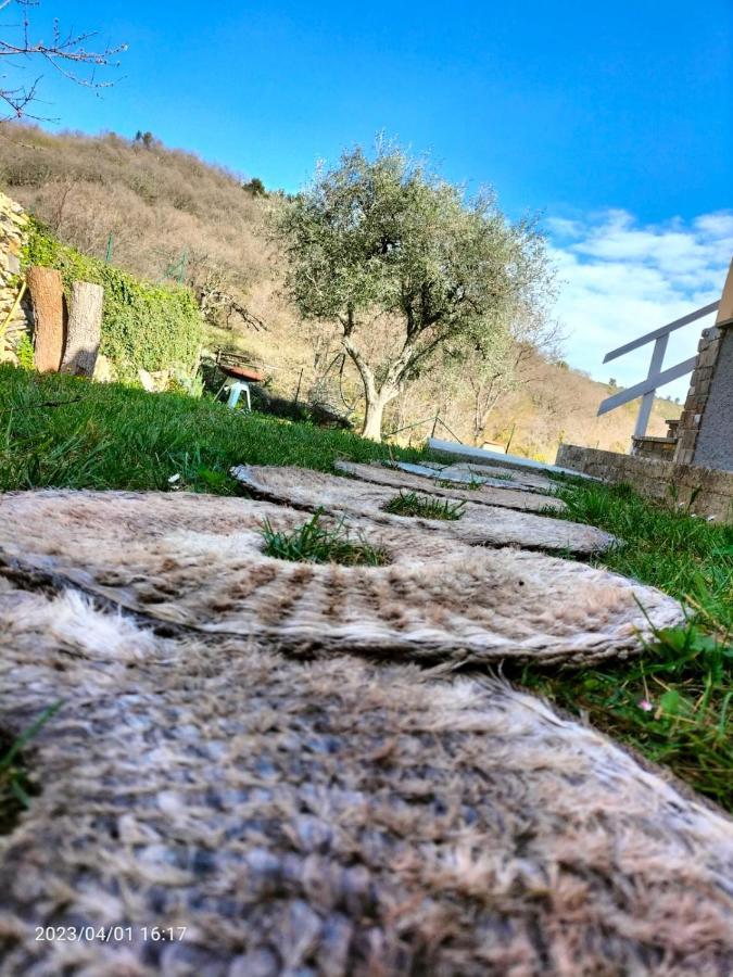 Pontedassio Casa Mariヴィラ エクステリア 写真